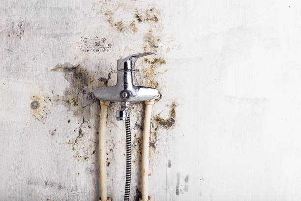 Best HVAC Mold Remediation in Upper Arlington, OH