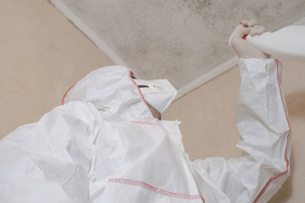 Best Commercial Mold Remediation in Upper Arlington, OH